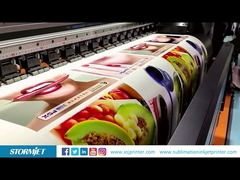 Stormjet F1808 with 8 Heads for Eco Solvent or Water based Pigment Print